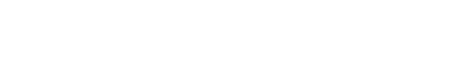 light logo